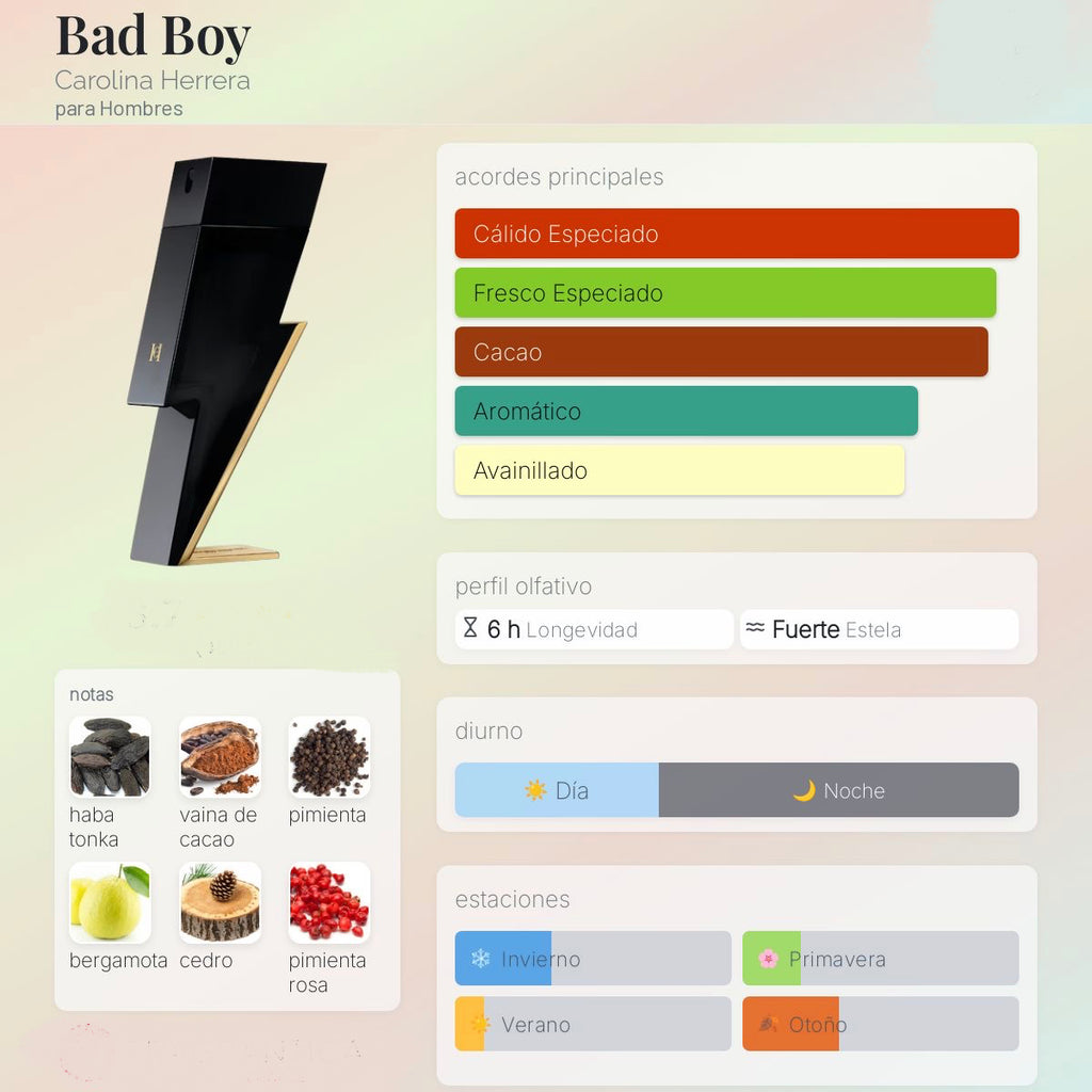 Carolina Herrera Bad Boy EDT 100ml